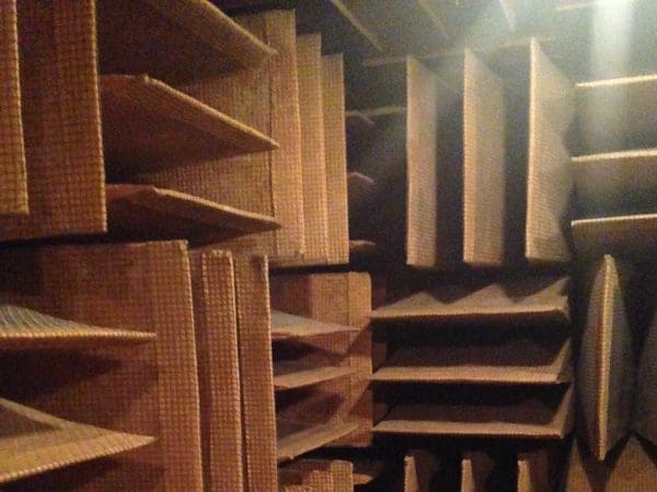 I Visited The Quietest Place On Earth | Twin Cities Family | Twin Cities Family