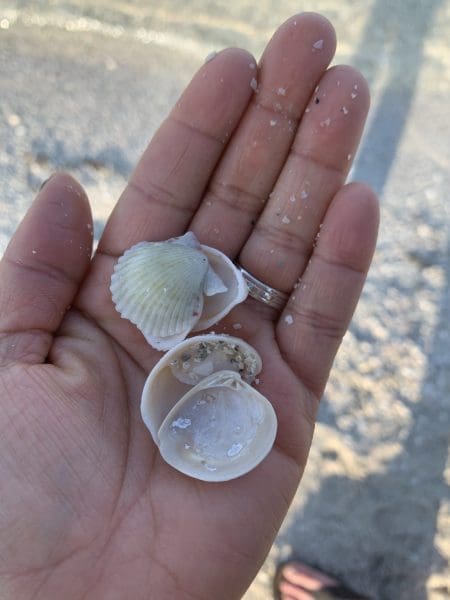 Refreshed and Renewed: Vacation Bound | Twin Cities Family