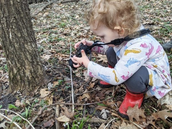 Spring Wildflowers to the Rescue! | Twin Cities Family