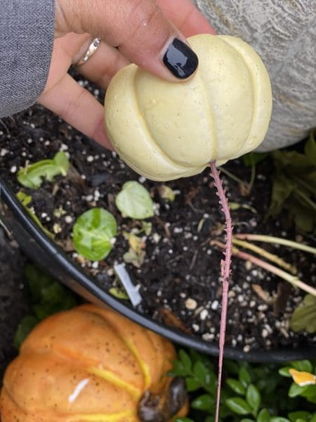 Fall Refresh: How To Freshen The Entrance Of Your Home | Twin Cities Family