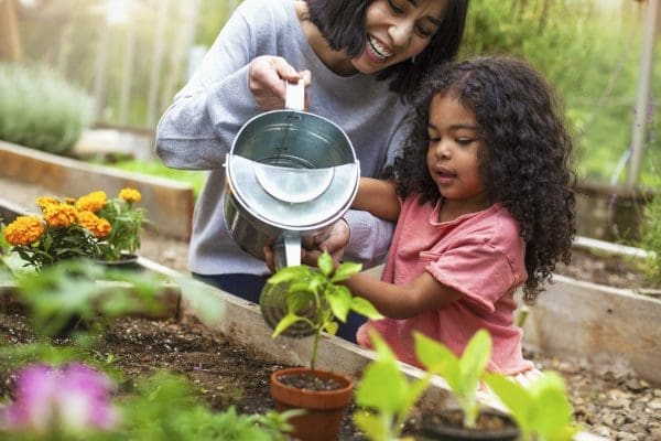 Beginner’s Guide to Gardening | Twin Cities Family