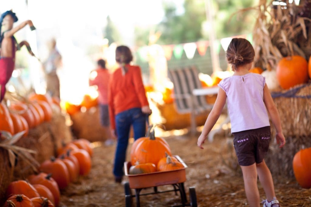Fall Bucket List - Rear View of two children pulling wagon full of pumpkins