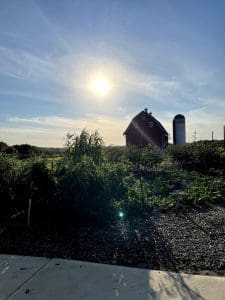 CommonGround Farm at the Arb