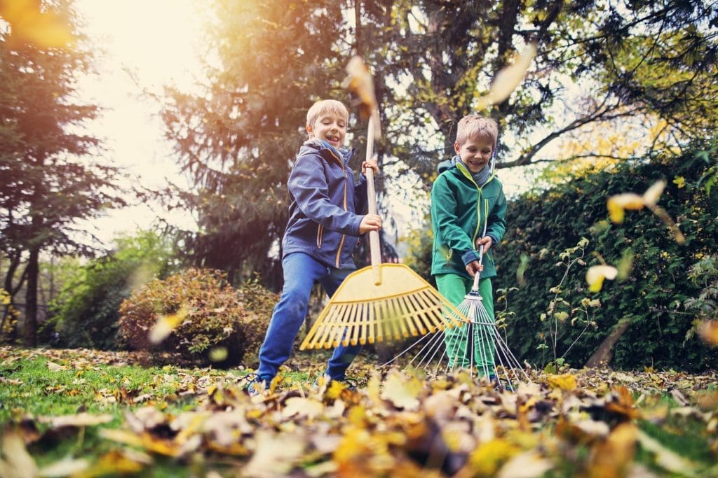 Little boys raking autumn leaves. Two brothers aged 7 are helping to clean autumn leaves from the garden lawn.