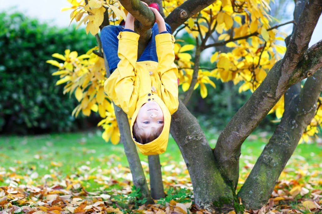 Let them be little - Little boy in a yellow raincoat hanging on a tree branch