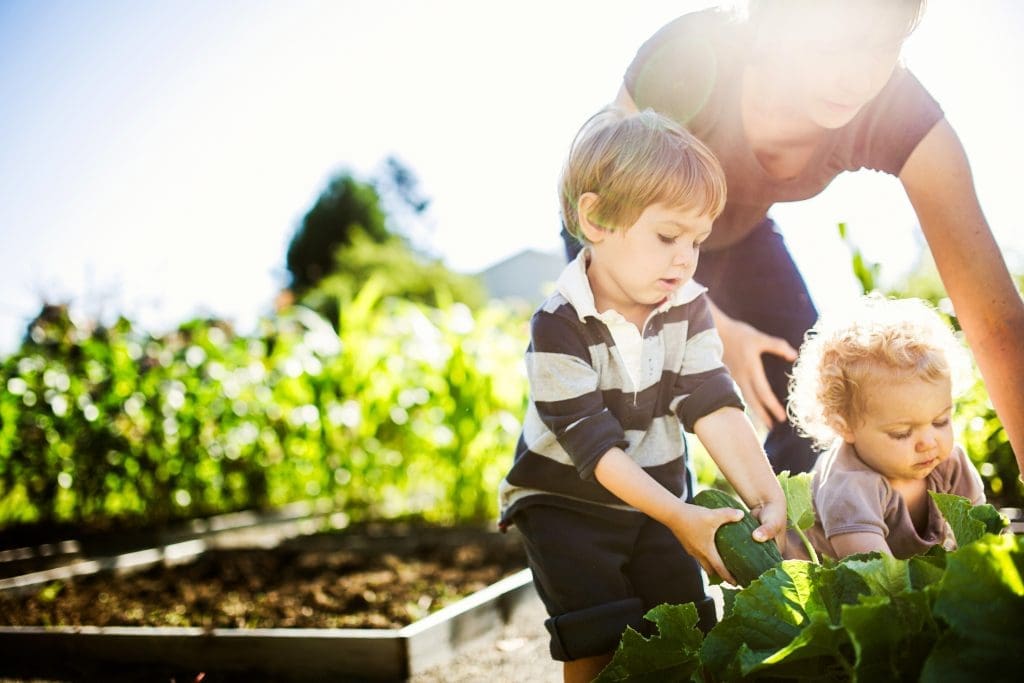 Two toddlers helping their mom in the garden