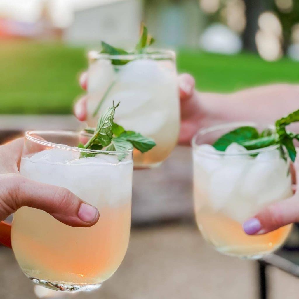 watermelon mint drink