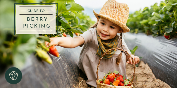 summer Guide 2022 (2)