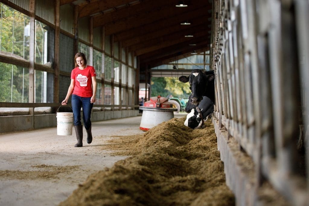 woman farmer feeding cows