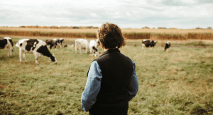 farm