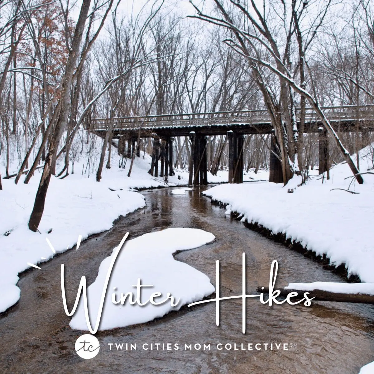 Twin Cities Guide to Winter | Twin Cities Family winter guide