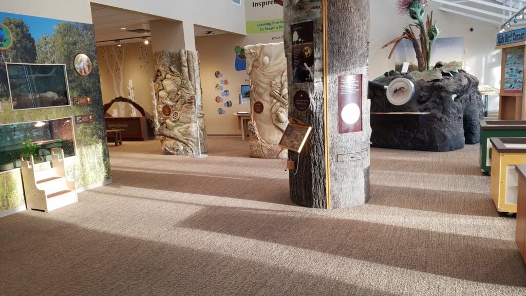 free indoor fun
