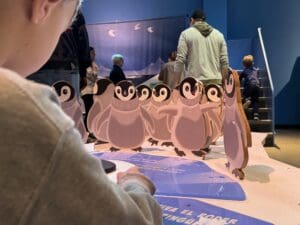 minnesota children's museum