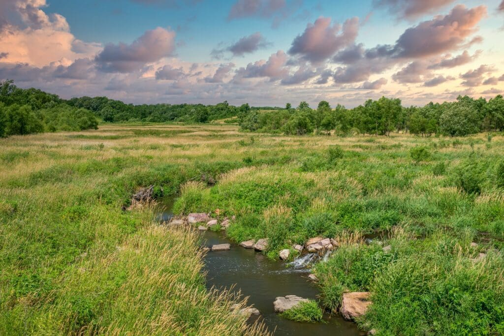 favorite state parks for camping