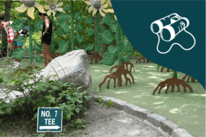 Big Stone Mini Golf | Minnetrista, MN