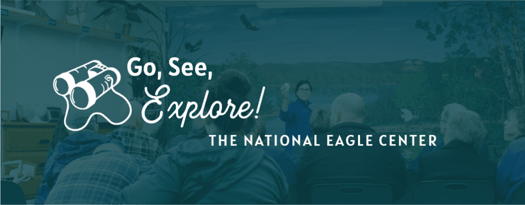 Go, See, Explore: The National Eagle Center