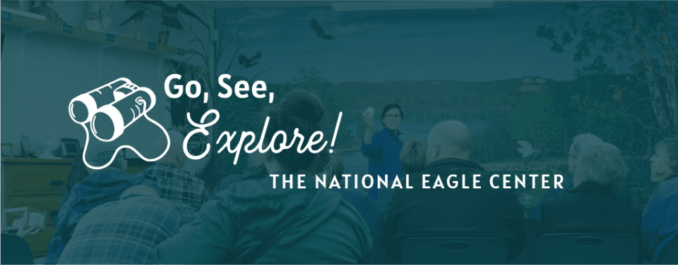 Go, See, Explore: The National Eagle Center