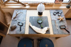 reggio-inspired