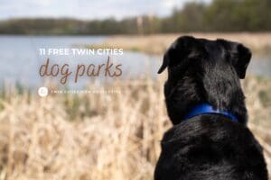 dog parks