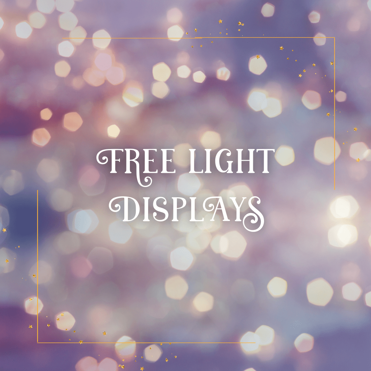 twin cities holiday lights displays
