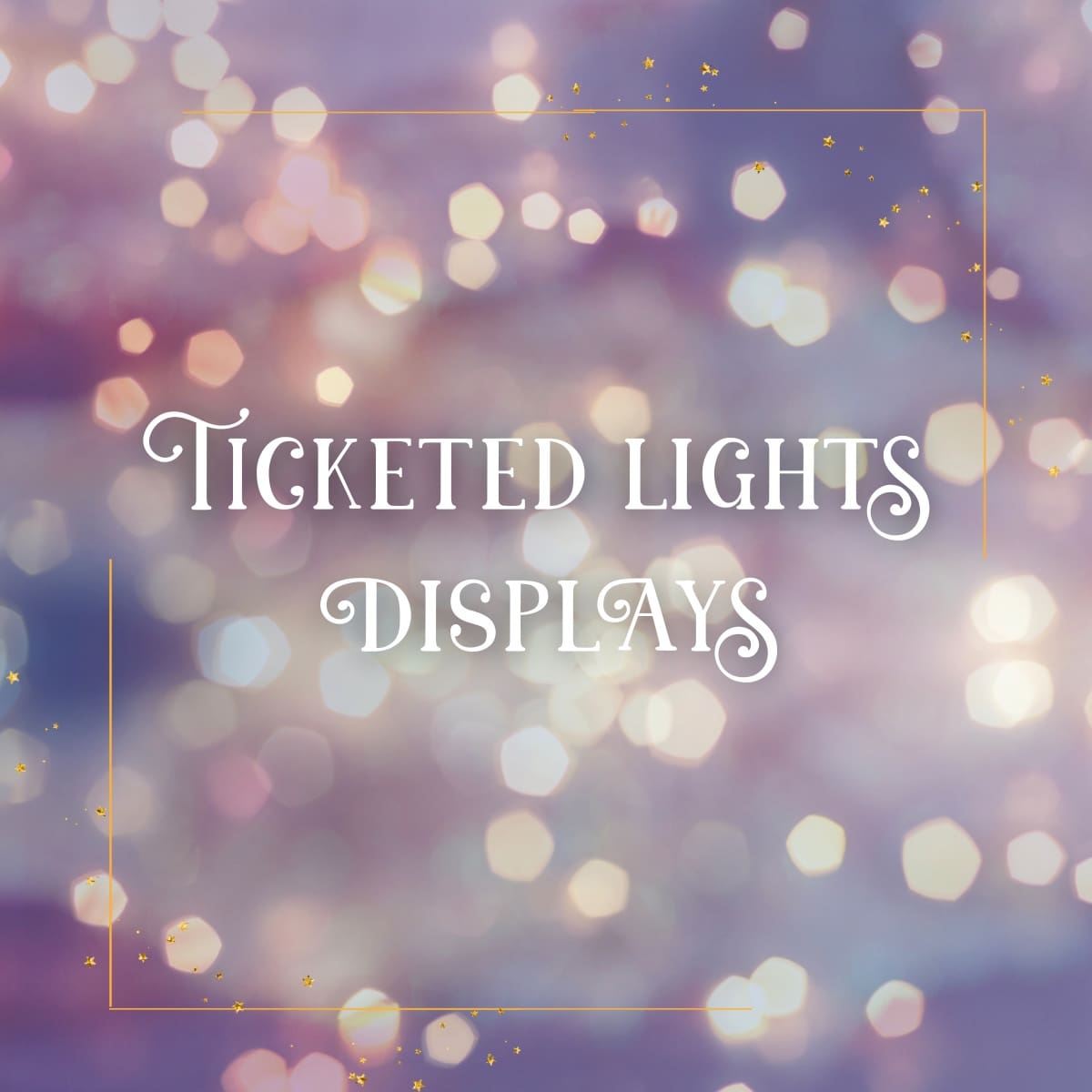twin cities holiday lights displays