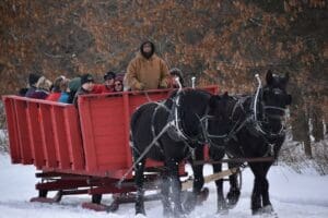 sleigh rides