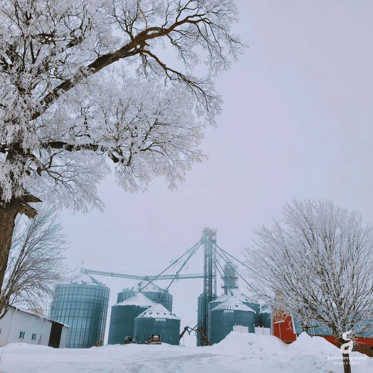 CommonGround Minnesota grain farm and silos covered with snow surrounded by snowy trees