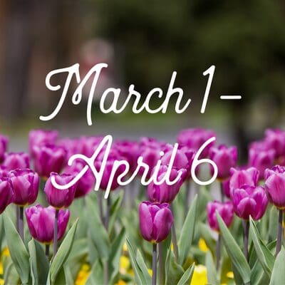 Twin Cities Guide to April Evens april events