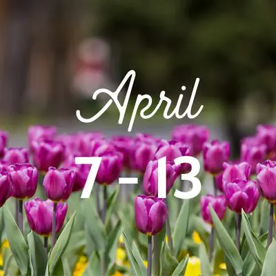 Twin Cities Guide to April Evens april events