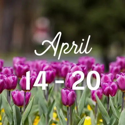 Twin Cities Guide to April Evens april events