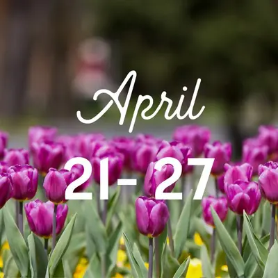 Twin Cities Guide to April Evens april events