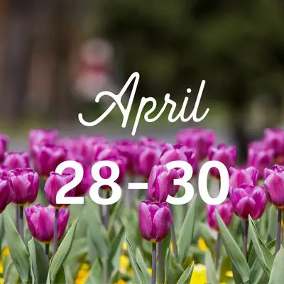 Twin Cities Guide to April Evens april events
