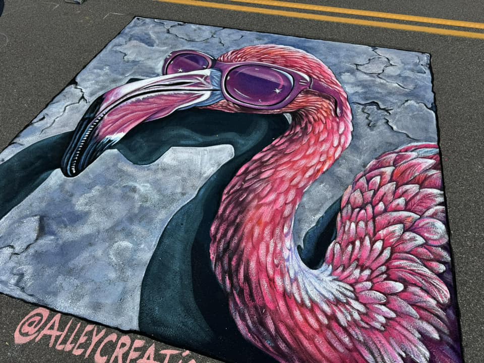 Maple Grove Chalk Festival Maple Grove Chalk Festival