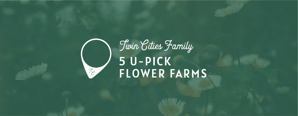 U-Pick Flowers