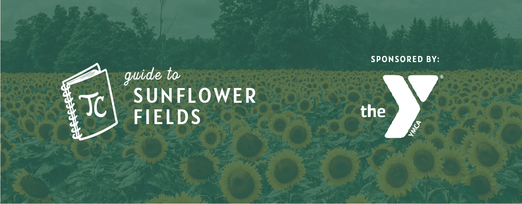 Twin Cities Sunflower Fields