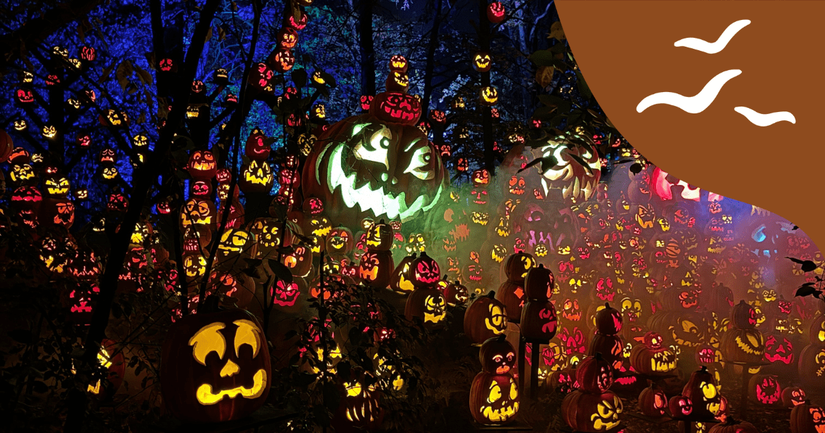 Jack-o-Lantern-Spectacular-1.png