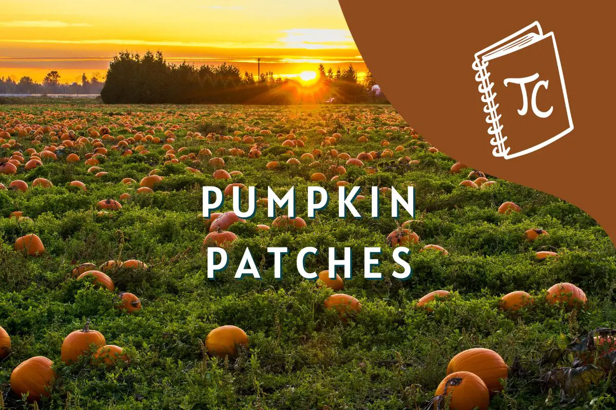 Pumpkin Patches fall events