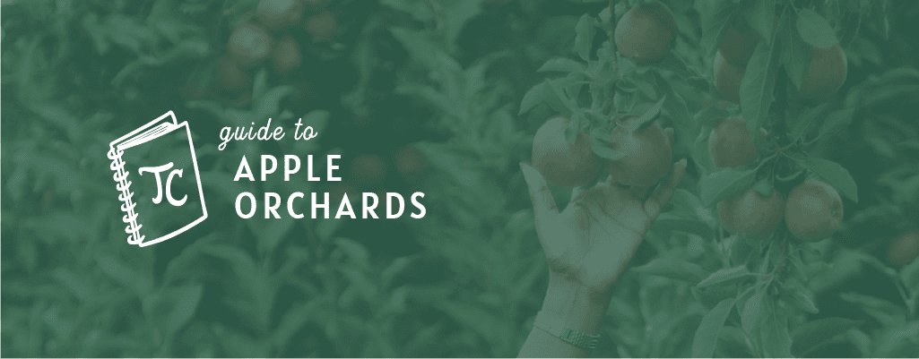 Twin Cities Guide to Apple Orchards