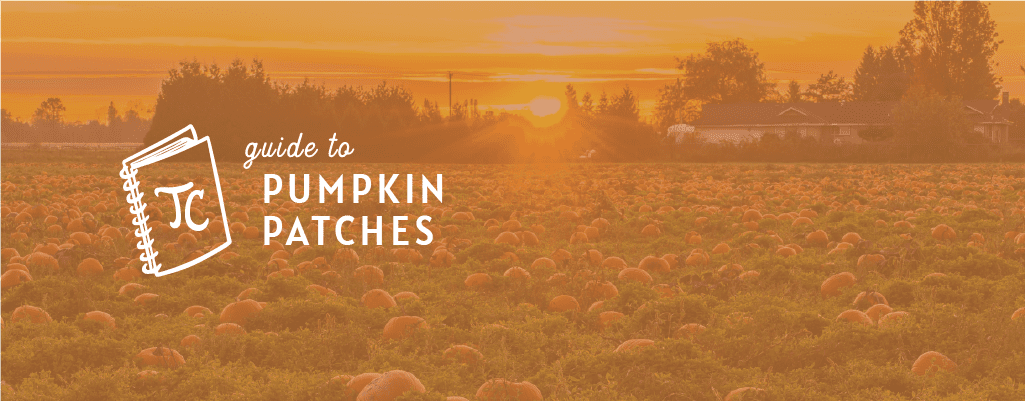Twin Cities Guide to Pumpkin Patches