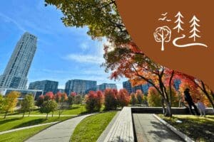 Twin Cities November Events