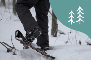 Snow Shoeing