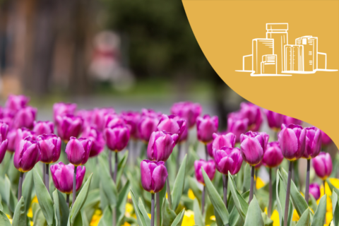 21 Twin Cities Winter Date Night Ideas