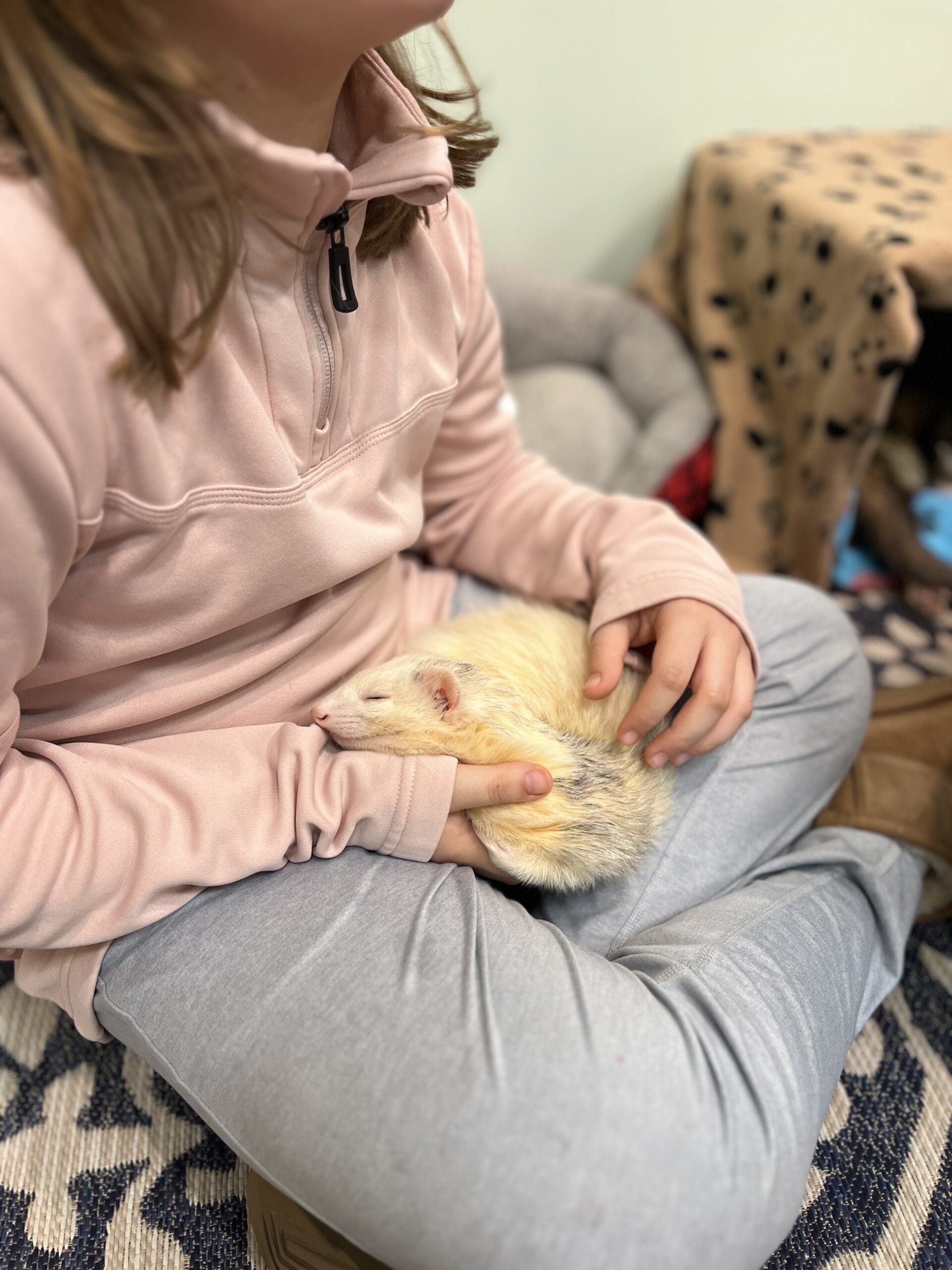 animal1 animal1