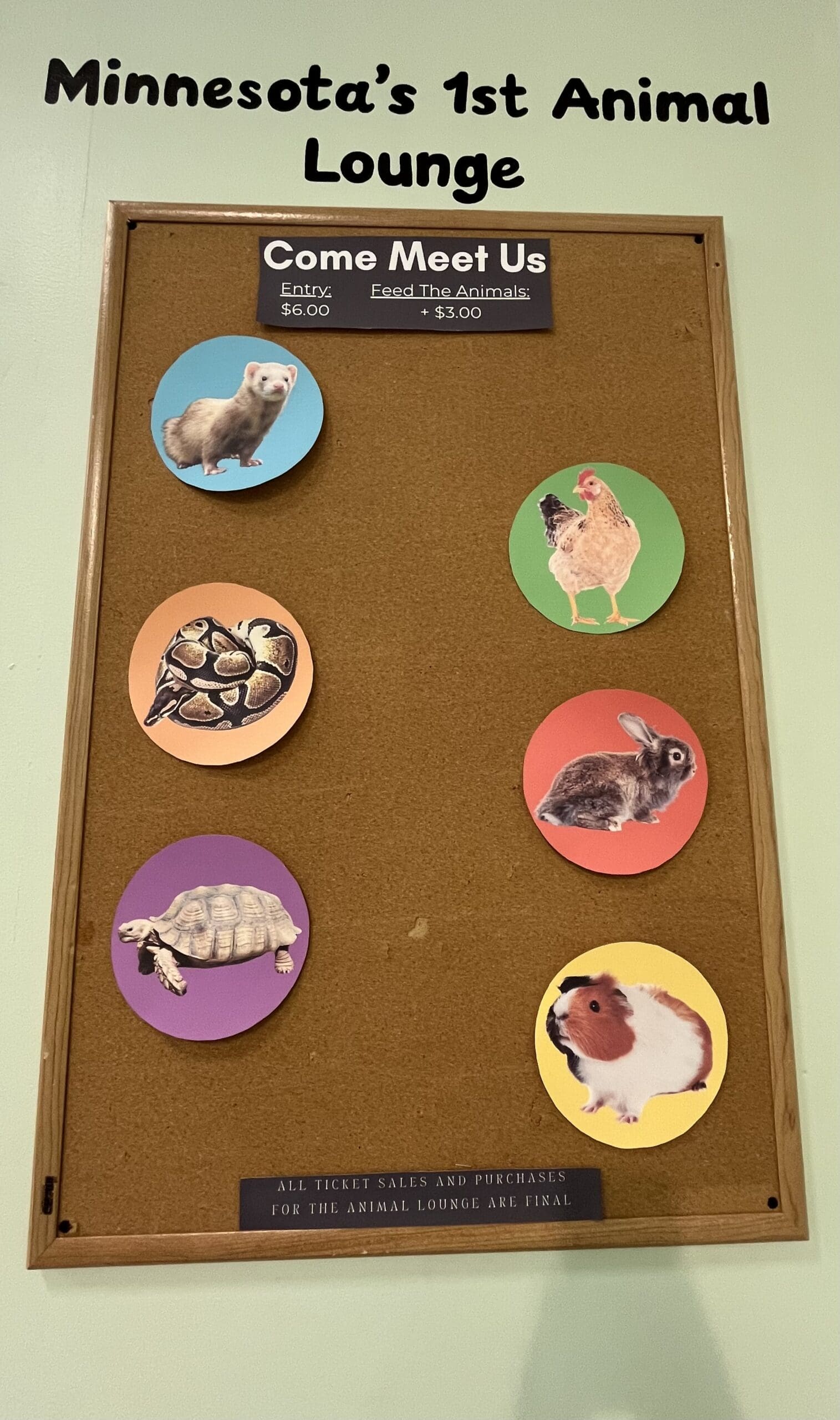 animal2 animal2
