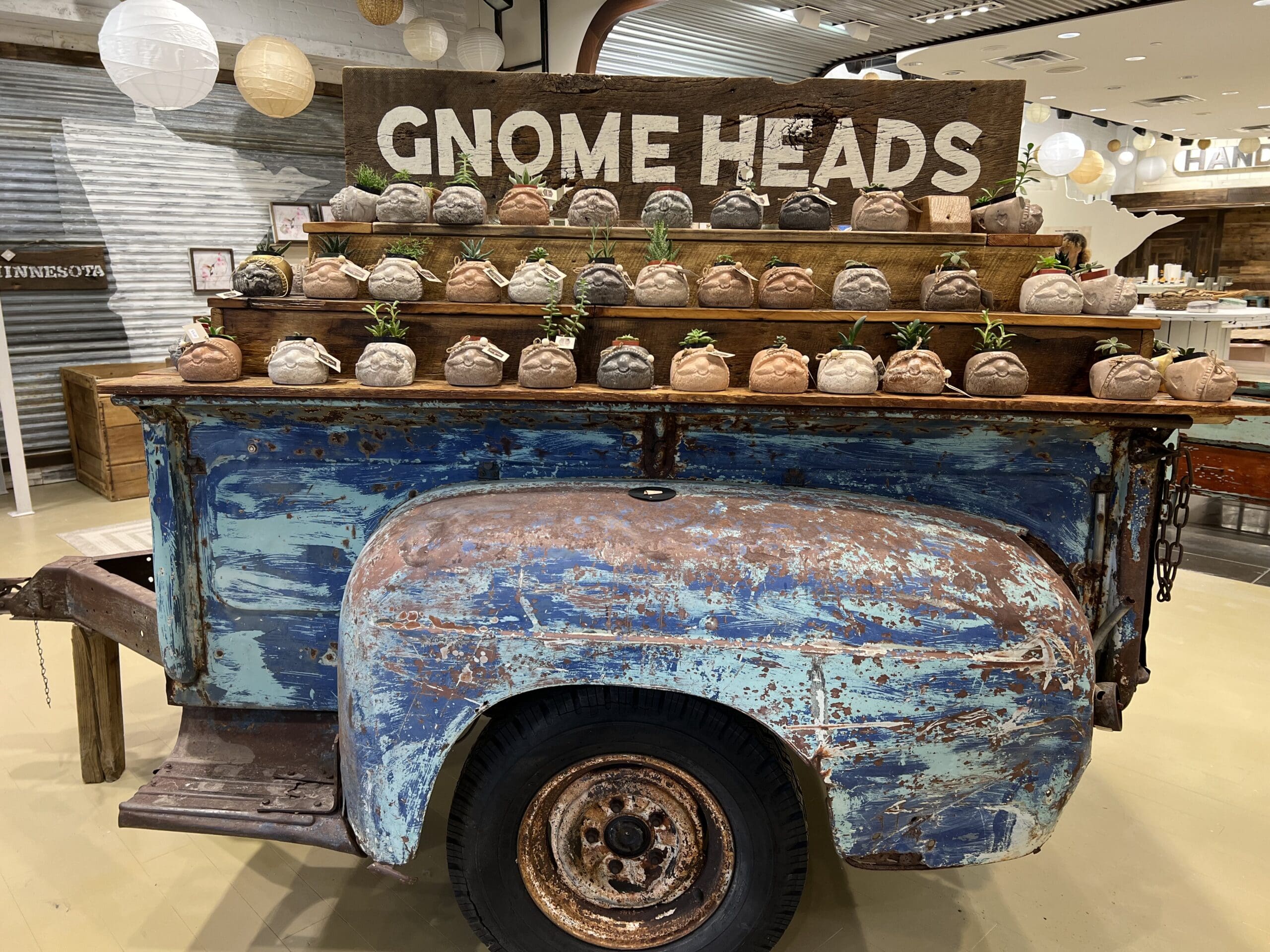 gnomeheads gnomeheads