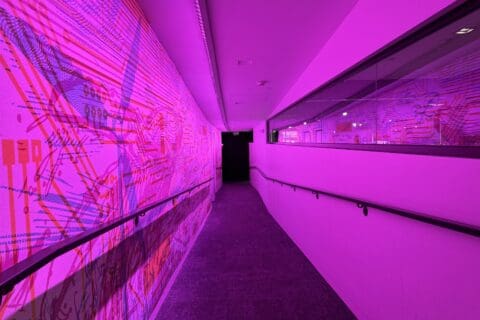 The Bakken Museum | Photo by Twin Cities