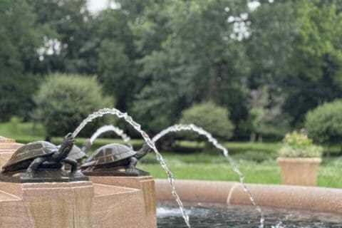 Lyndale Rose Garden | Photo by Twin Cities
