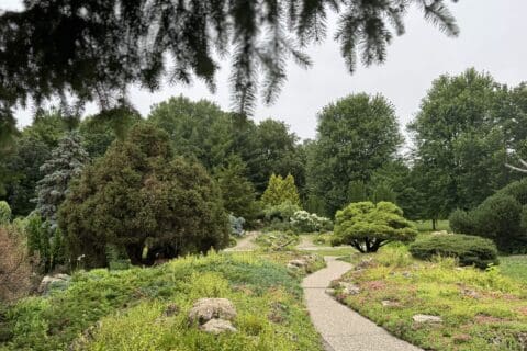 Peace (Rock) Garden | Photo by Twin Cities