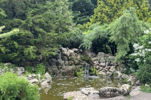 Peace (Rock) Garden | Photo by Twin Cities