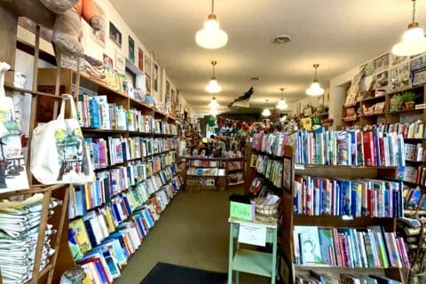 Wild Rumpus | Photo by Twin Cities